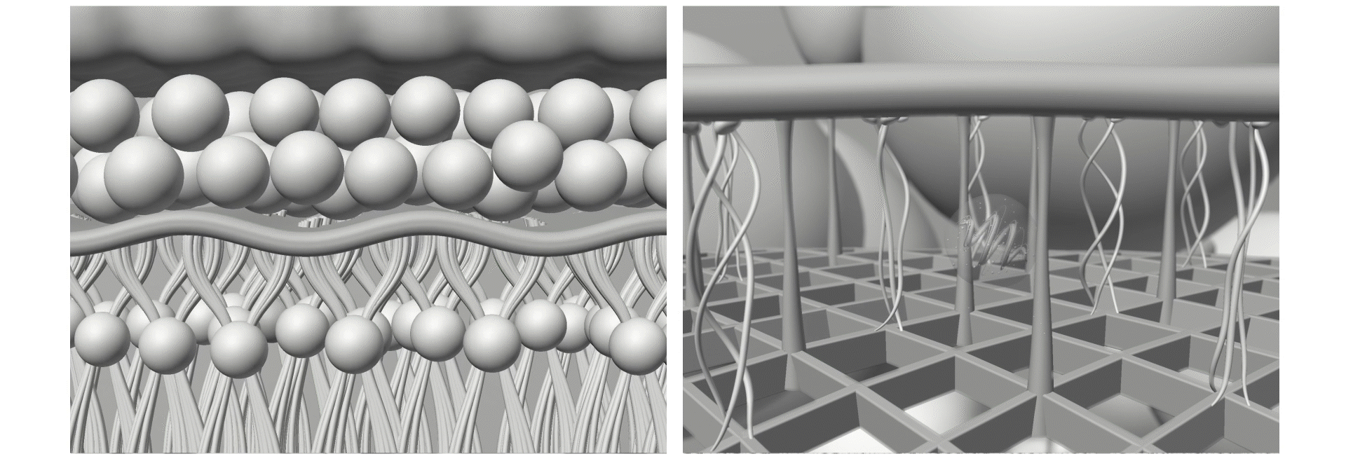 时献 RATIO X 柔光精华油霜CG案例分享