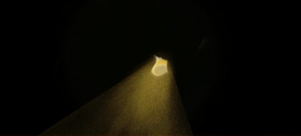 开篇第一镜天地混沌初开的镜头，为了还原天地流转的震撼与美术风格，手绘了超过300张原画，才有了这样一个细腻顺滑的场景。