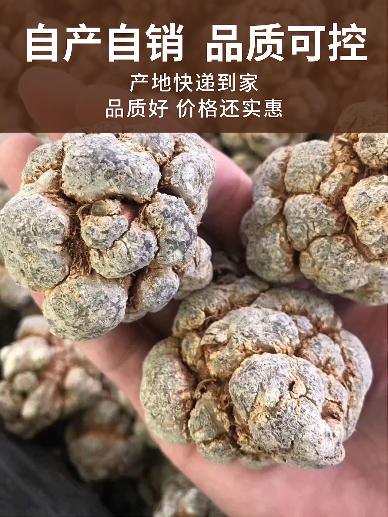 药材主图设计（图ZMzU1MjYxNTc2） - 品牌 - 站酷设计师小乔设计师原创素材 - 站酷ZCOOL