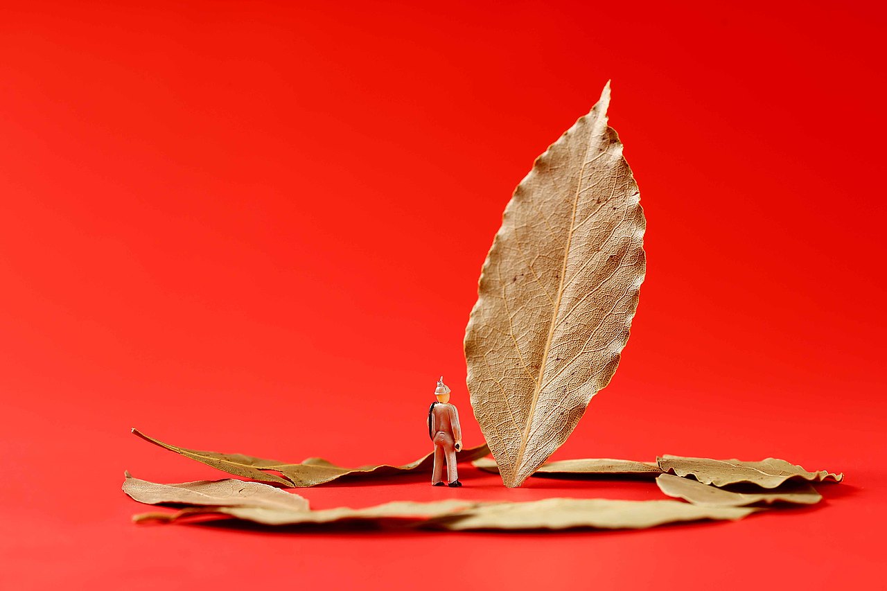 香料拍摄/创意微距拍摄（图ZMzIzMjI3MDcy） - 产品摄影 - 站酷设计师云匠视觉商业摄影原创素材 - 站酷ZCOOL