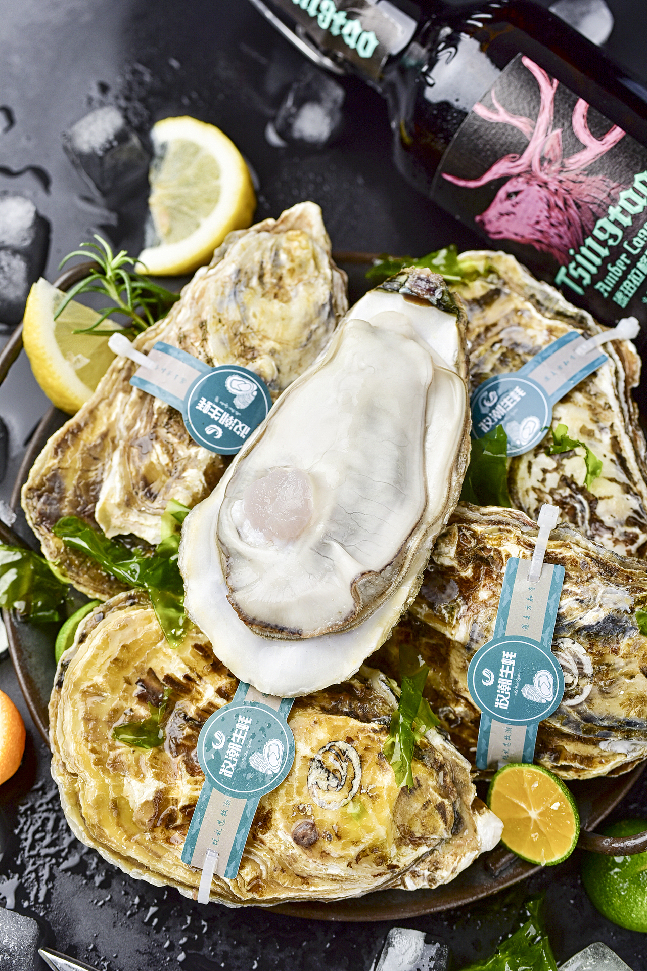 2023.3-2023.6海鲜作品集