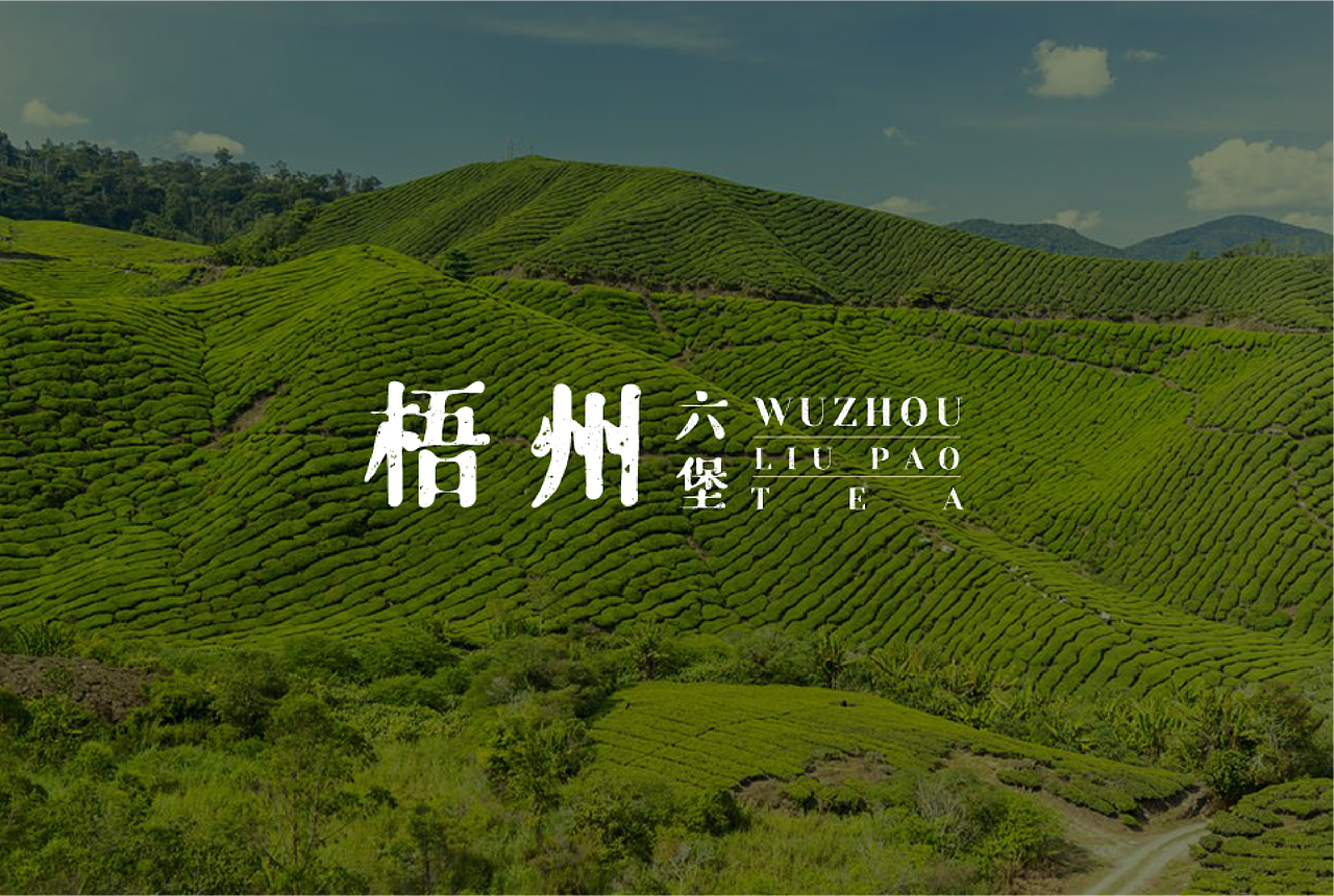 时光里的六堡茶（图ZMzQ2Nzk3ODY4） - 包装 - 站酷设计师广西如鱼设计原创素材 - 站酷ZCOOL