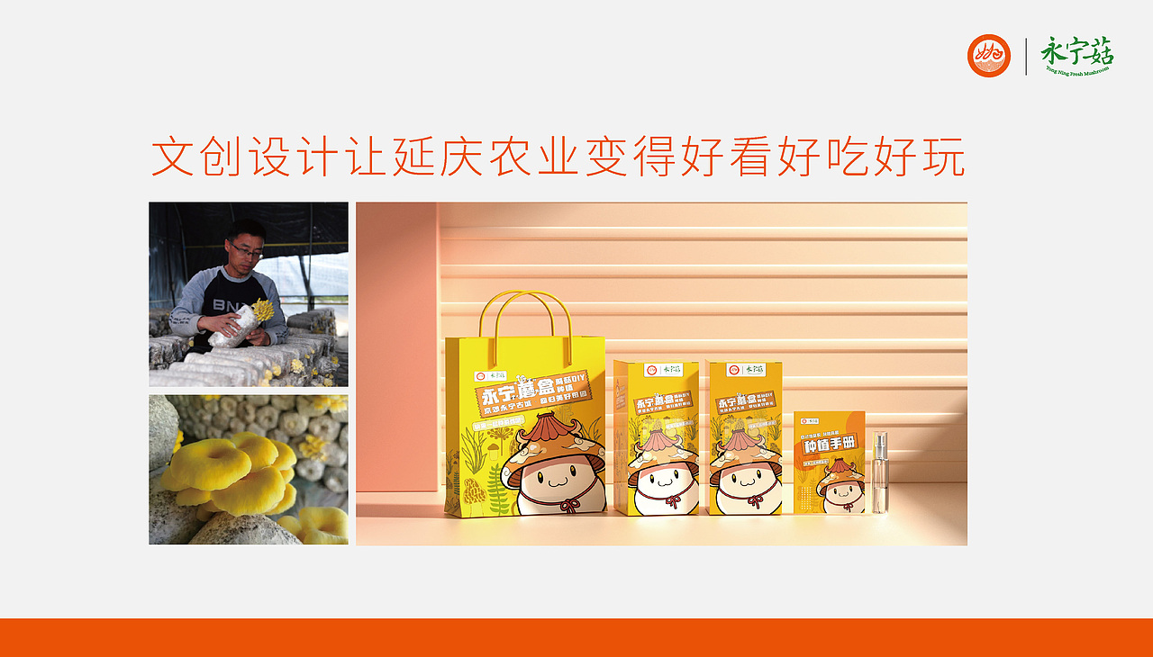 延庆的永宁蘑盒设计