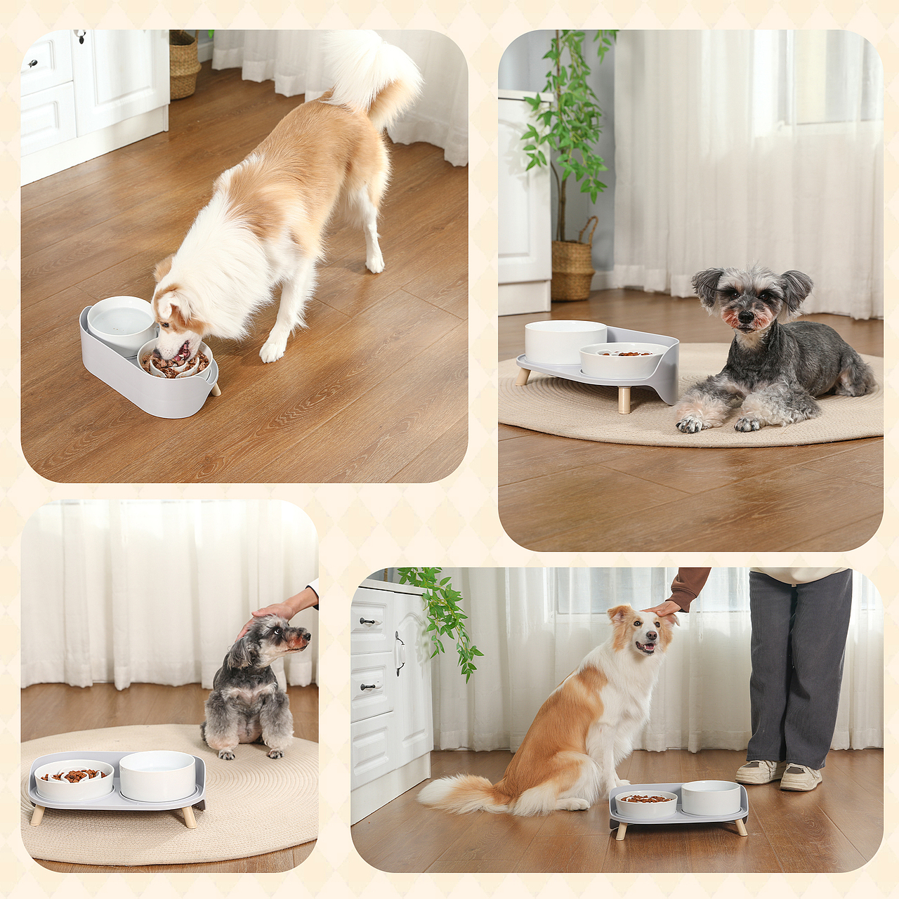 产品摄影广告亚马逊静物拍照主图设计宠物视频拍摄跨