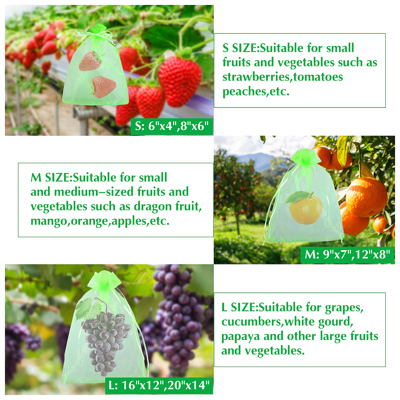 亚马逊拍摄产品拍摄详情页设计亚马逊做图PS果蔬网罩托