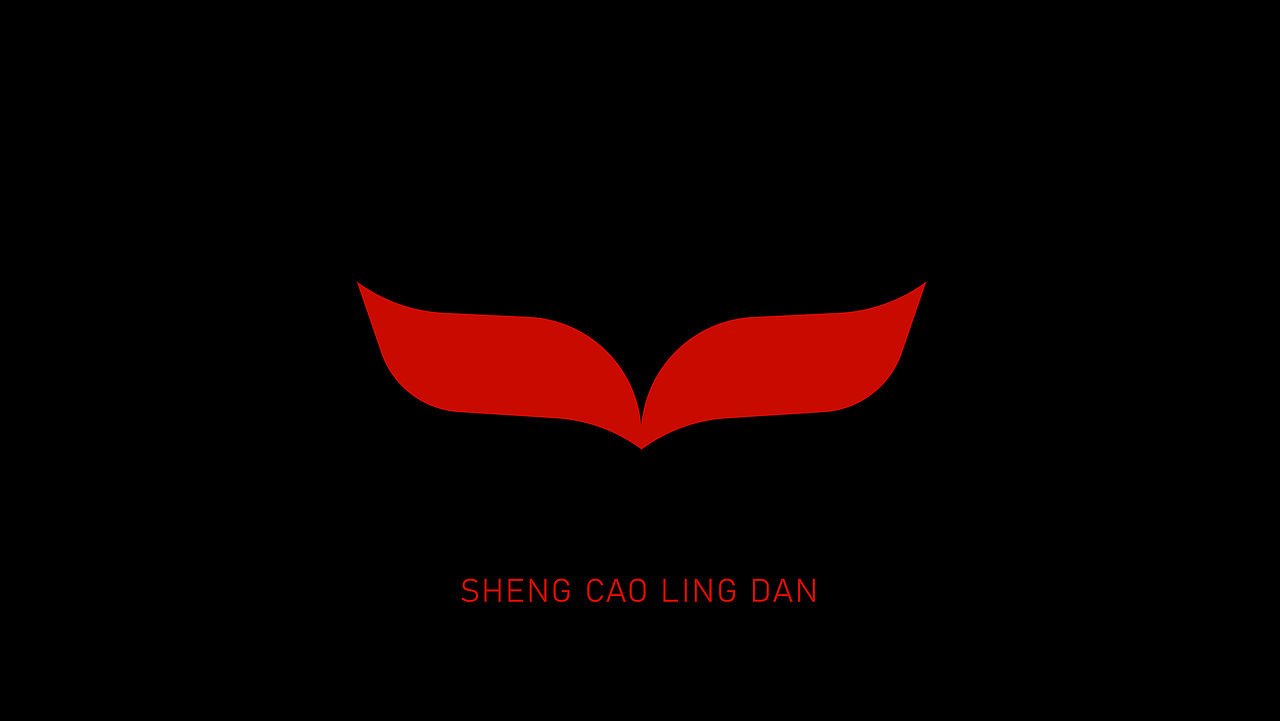 圣草灵丹-新会陈皮