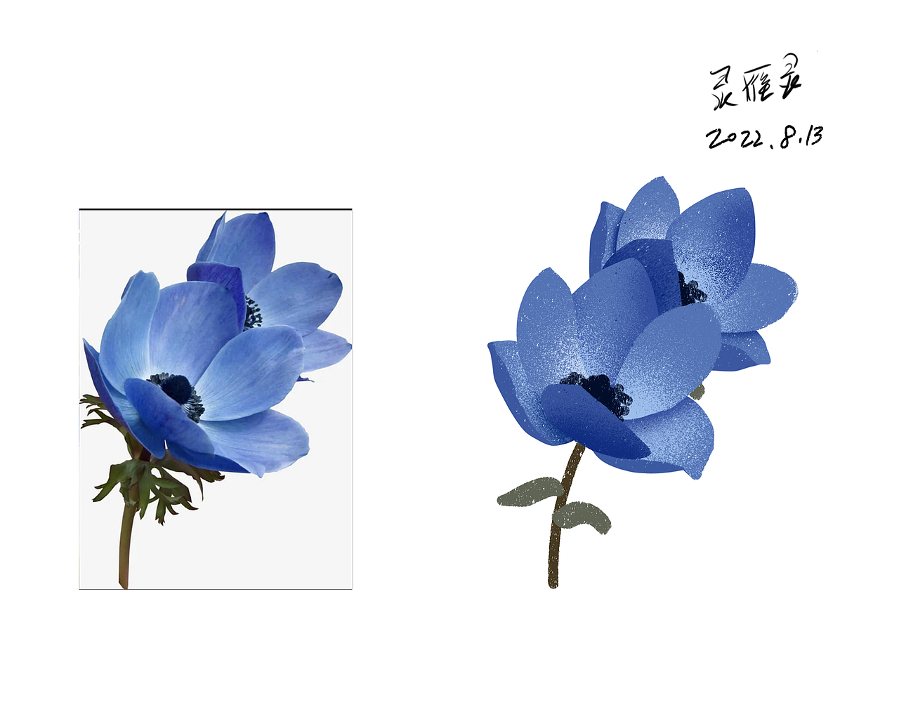 花卉寫生（圖ZMzEyNjE2Mzk2） - 商業(yè)插畫 - 站酷設(shè)計師靈雁靈原創(chuàng)素材 - 站酷ZCOOL