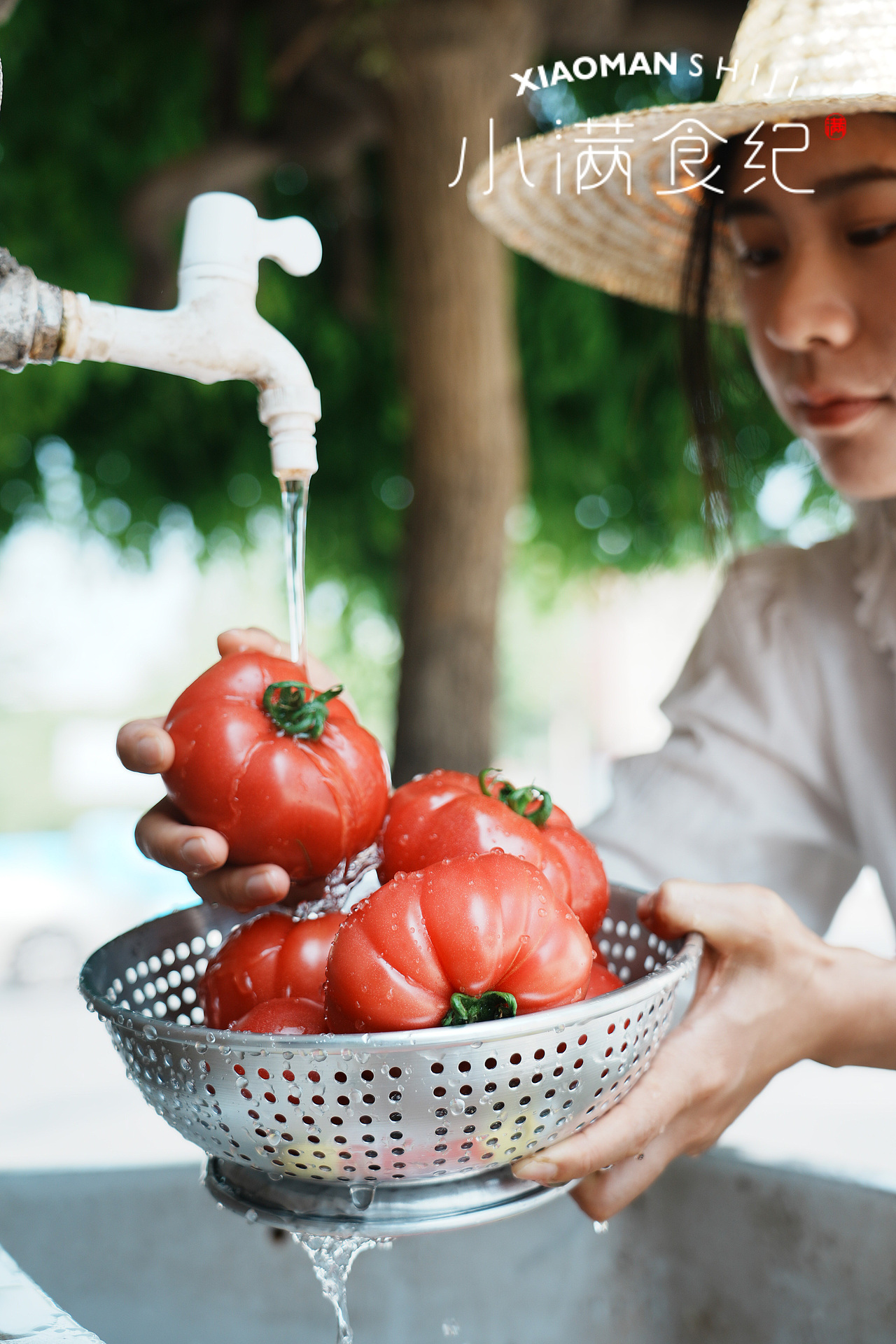 普罗旺斯溯源拍摄——电商摄影