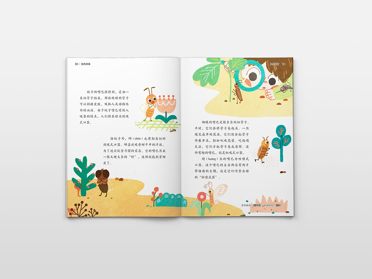 自然与植物系列 —— 科学启蒙