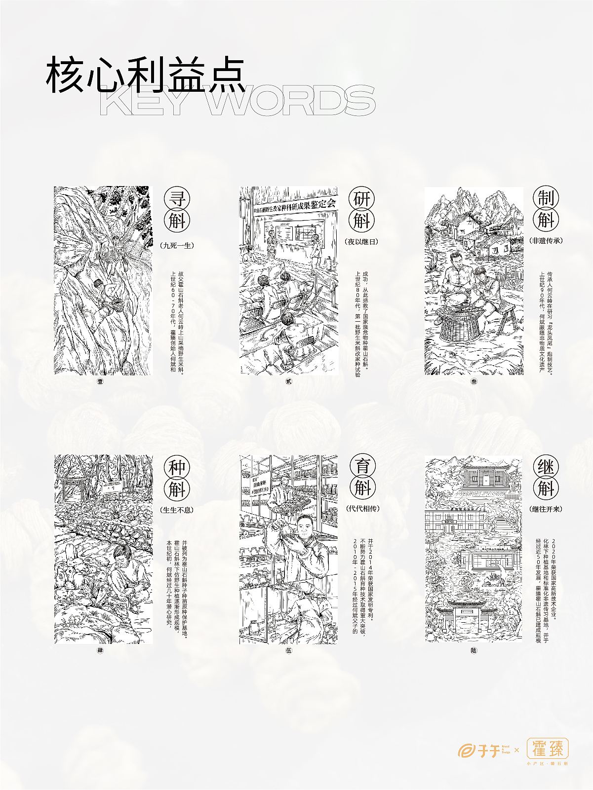 子午 × 霍臻石斛 #三代匠心传承 龙头凤尾臻米斛（图ZMzU4NzAxODgw） - 包装 - 站酷设计师子午品牌设计原创素材 - 站酷ZCOOL