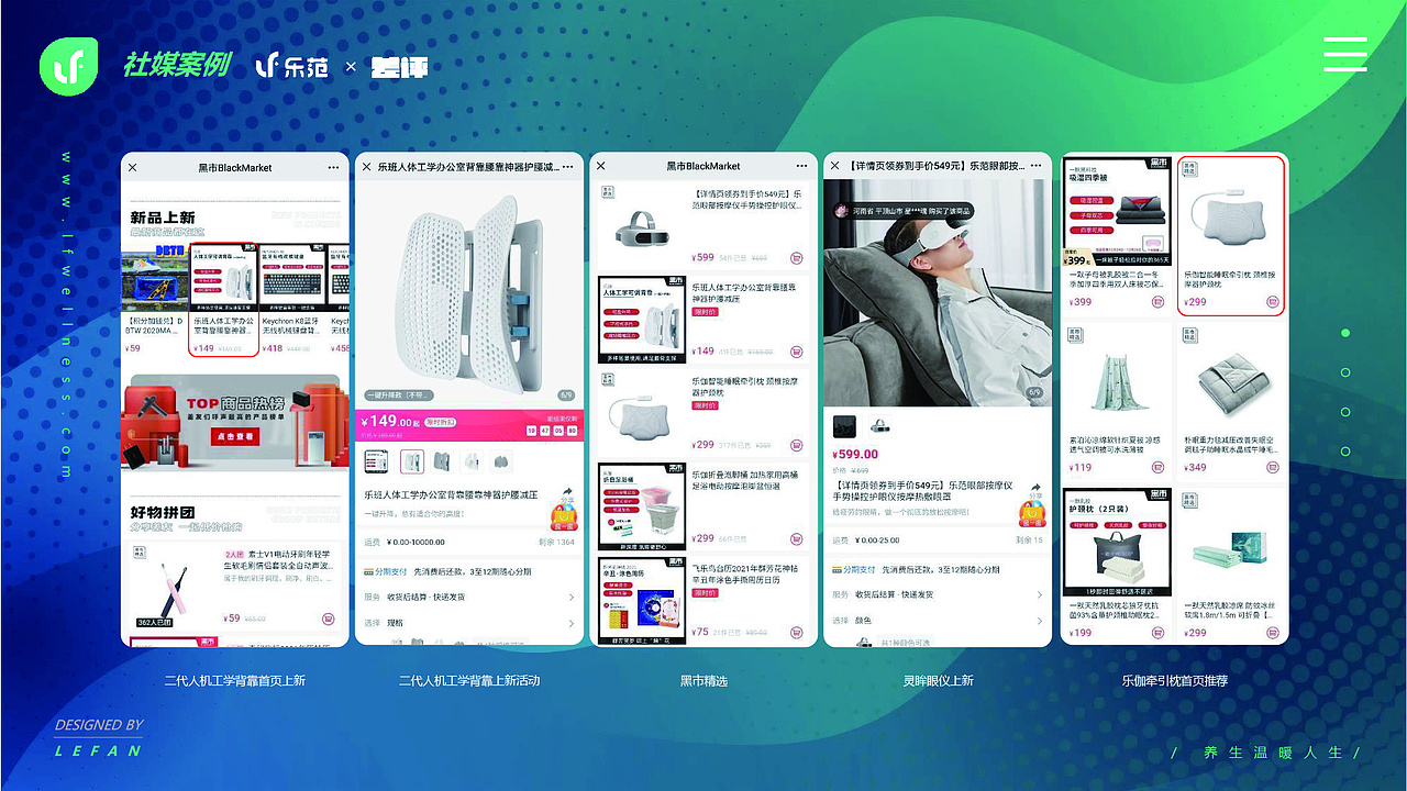 乐范品牌营销方案