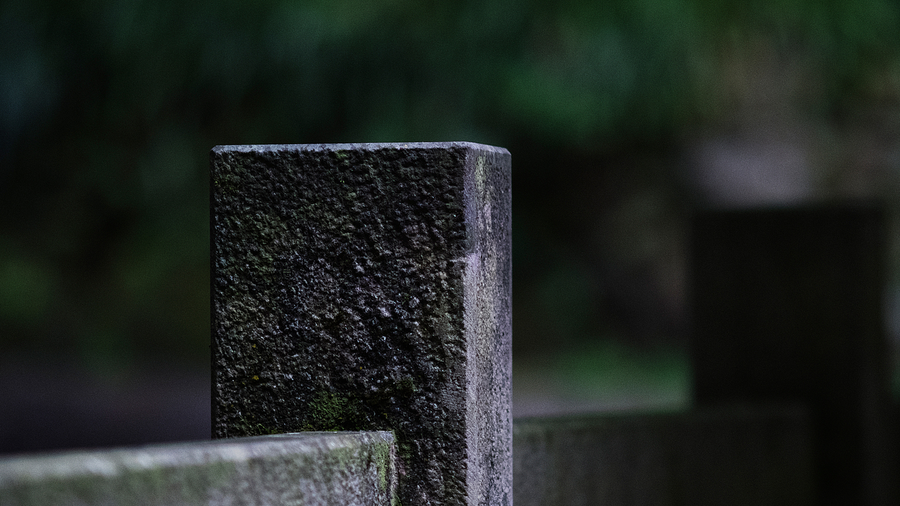 端午闲游-云栖竹径