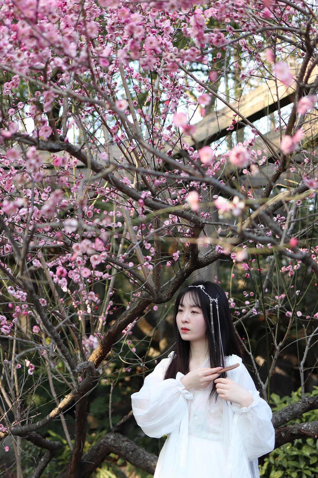 池塘生春草，園柳變鳴禽。（圖ZMzEzNzQyMDc2） - 人像攝影 - 站酷設(shè)計師檀香姑娘原創(chuàng)素材 - 站酷ZCOOL