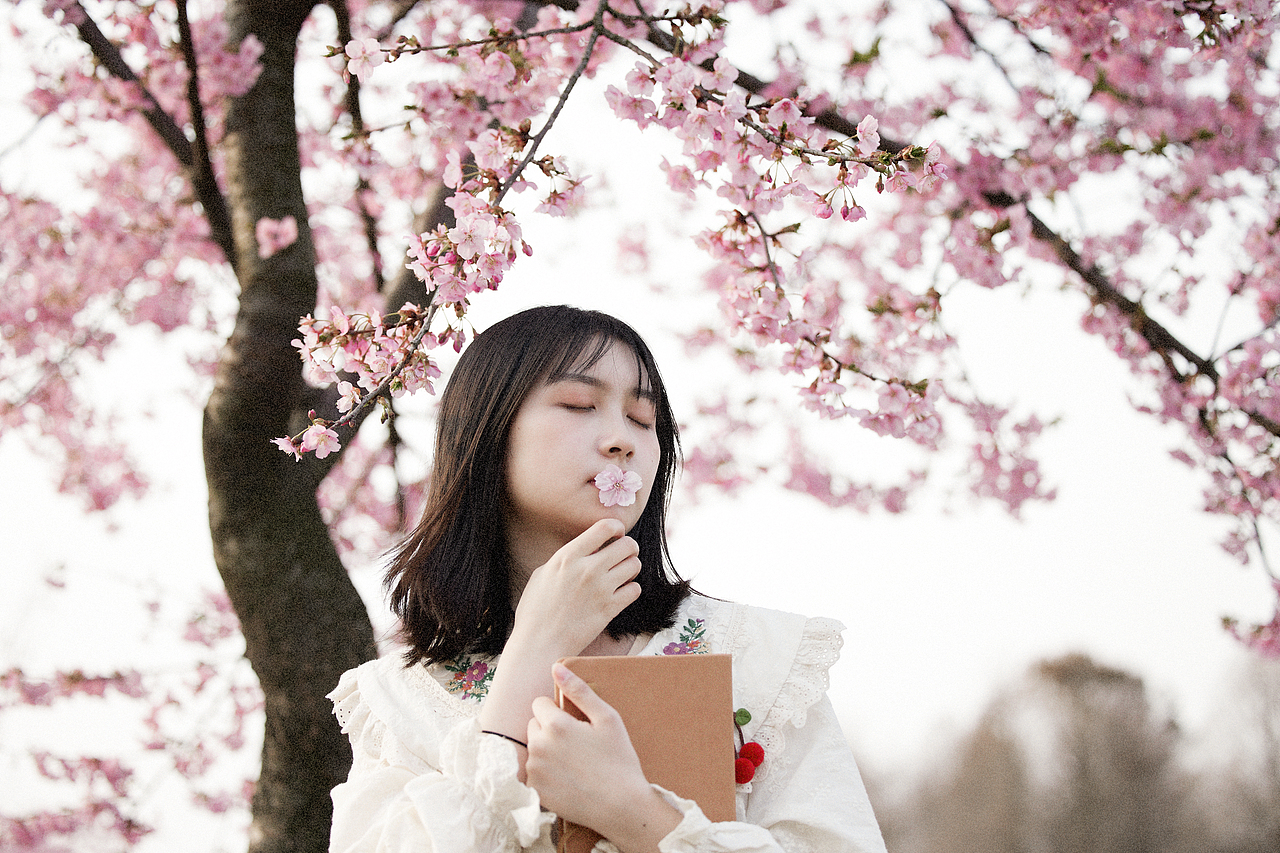 sakura（图ZMzQyNDM1NjM2） - 人像摄影 - 站酷设计师沾沾自喜小九九原创素材 - 站酷ZCOOL