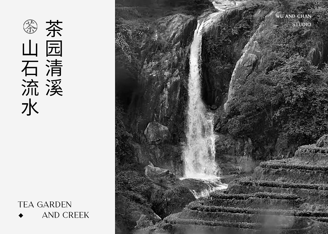 茶包装设计-安溪铁观音包装策划与设计