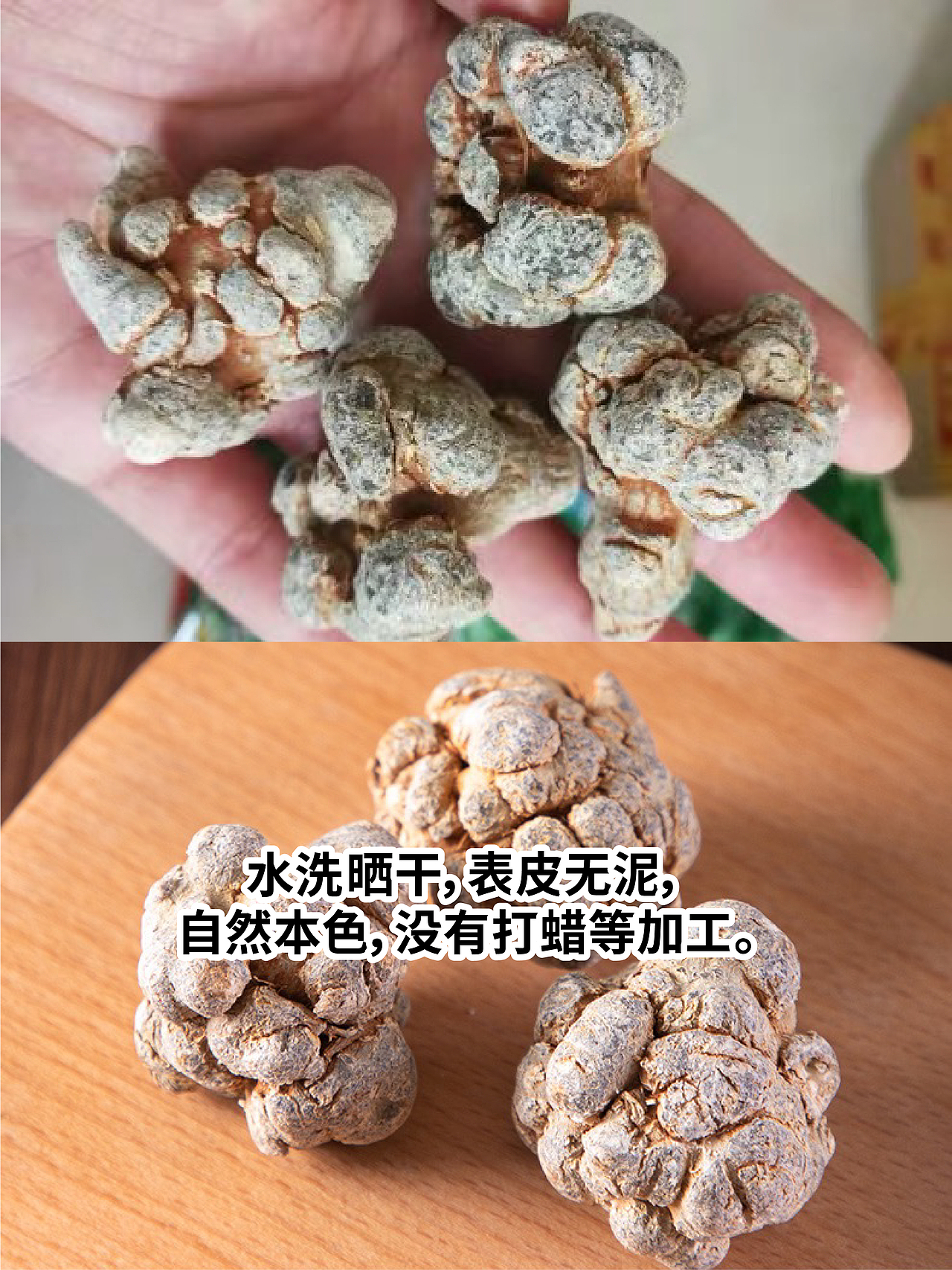 药材主图设计（图ZMzU1MjYxNTY0） - 品牌 - 站酷设计师小乔设计师原创素材 - 站酷ZCOOL