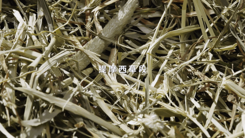 电商视频 | 布卡星 ✘ 响马摄影