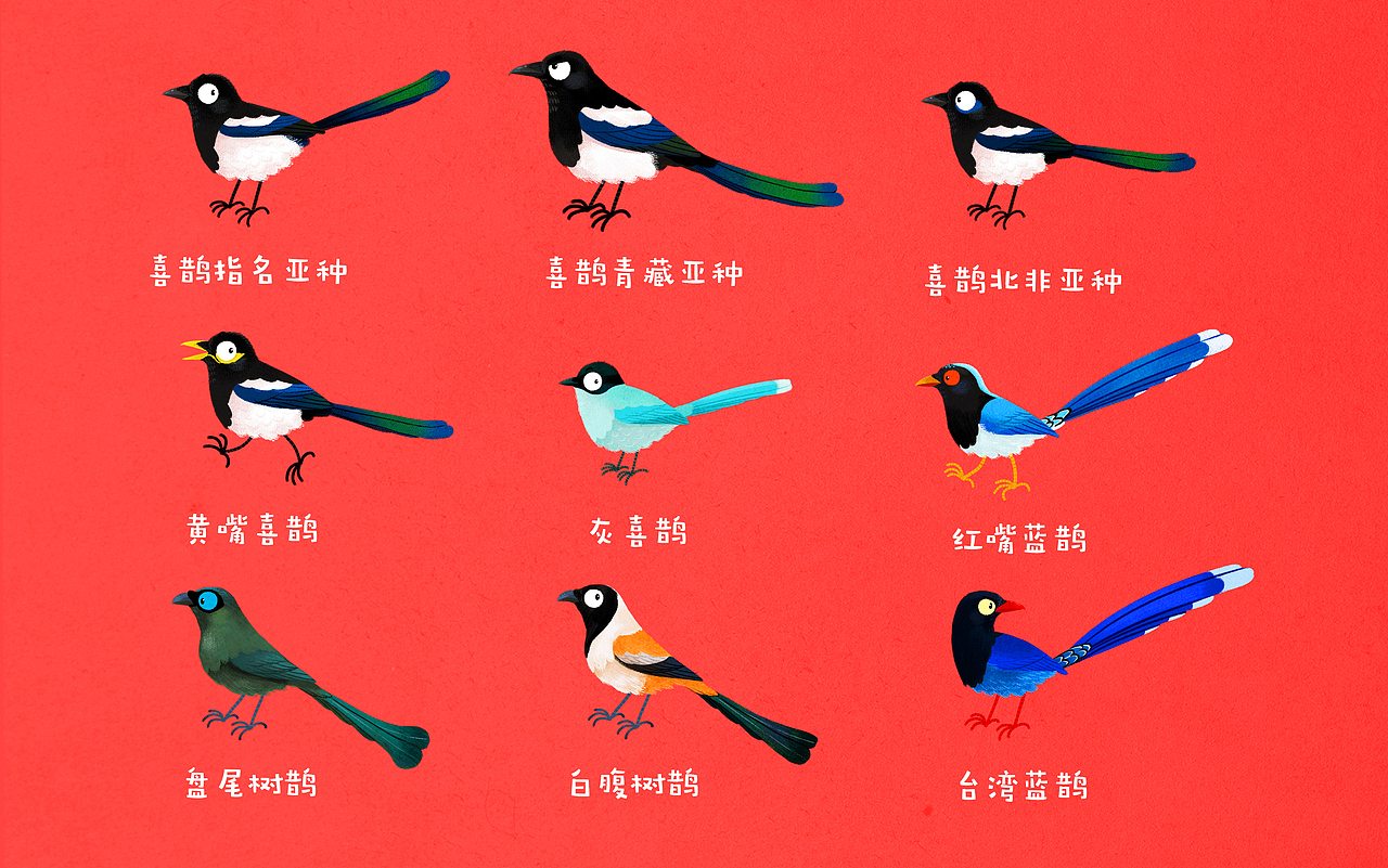 几种不同的“鹊”