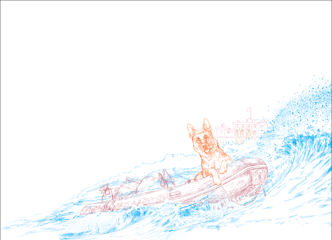 爱国题材 军犬《金钢》故事插图