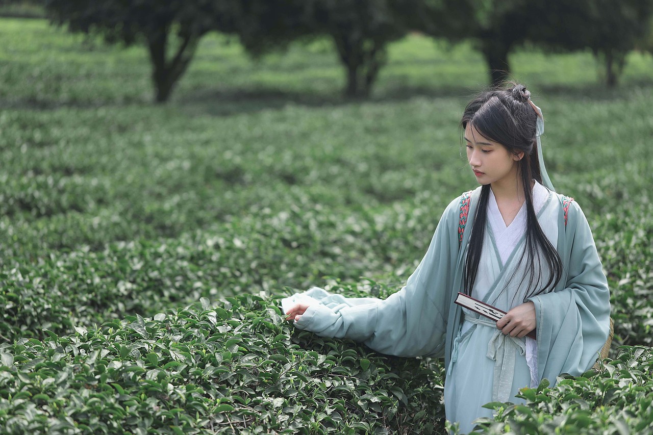 设图网|茶园人像写真|茶道茶文化