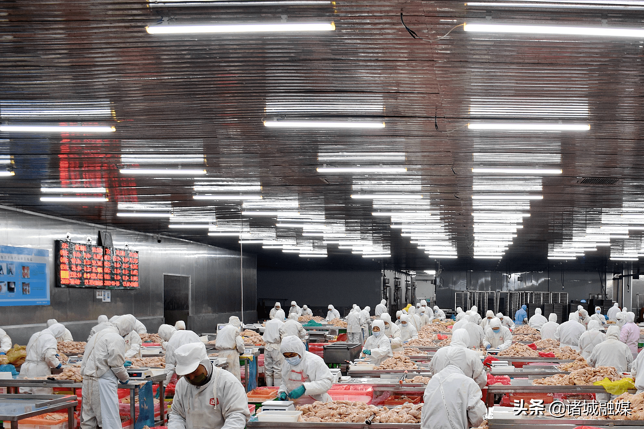 行业痛点分析
1.  国人消费习惯培养难度大<br>预制菜在中国市场渗透低，消费者对于预制菜了解较少，消费习惯难以培养。预制菜同我国长期以来的饮食文化不完全相符，是对于国人饮食习惯的重塑，难度相对较大。<br><br>2.利润受原材料价格影响大<br>预制菜供应链上游以肉禽水产等农副产品为主，原材料成本占比通常在九成以上，供应链不稳定，尤其是猪牛羊禽肉及水产，易受自然条件等不可抗力影响，价格波动大，原材料品控难度大。<br><br>3.预制菜企业辐射范围有限<br>中国地域广博，不同区域口味差别较大，大部分企业产能有限，难以满足全国消费者口味<br><br>4.食品安全问题影响行业信誉<br>由于预制菜行业在我国还处在初级发展阶段，国家尚未出台全国统一的标准规范，行业管理较为混乱，种种乱象使得消费者对于相关企业的信任度难以提升，一旦某些企业发生食品安全问题被曝光，将会影响整个行业的声誉，预制菜行业急需相关政策法规的保驾护航。<br> 