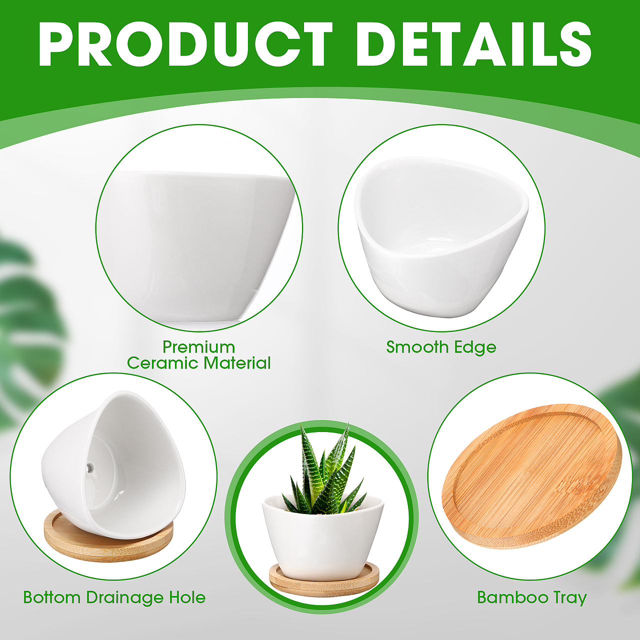 亚马逊-植物盆栽主副图