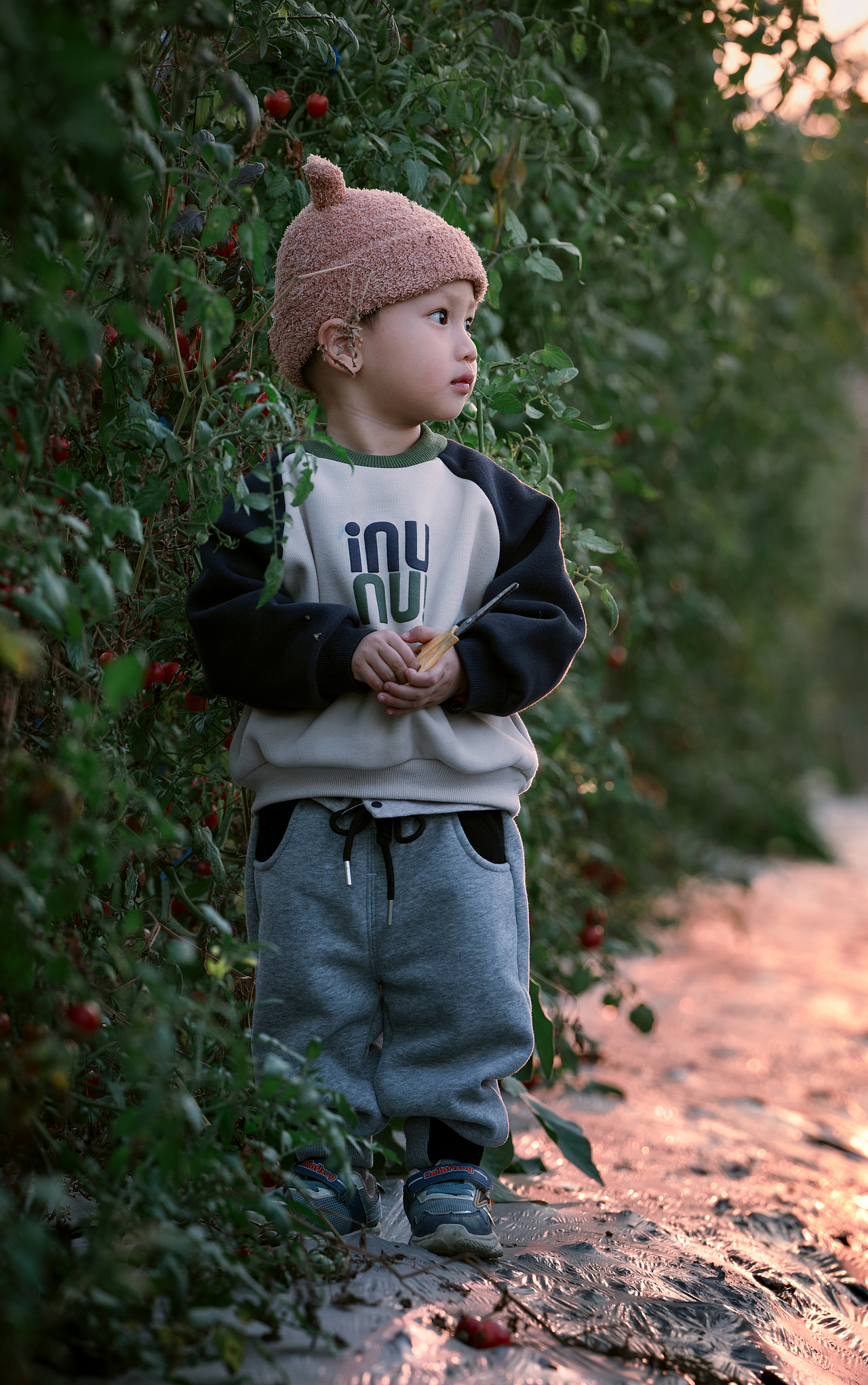 又到了摘草莓的季节（图ZMzMwNjM0MTU2） - 人像摄影 - 站酷设计师jcleopard原创素材 - 站酷ZCOOL