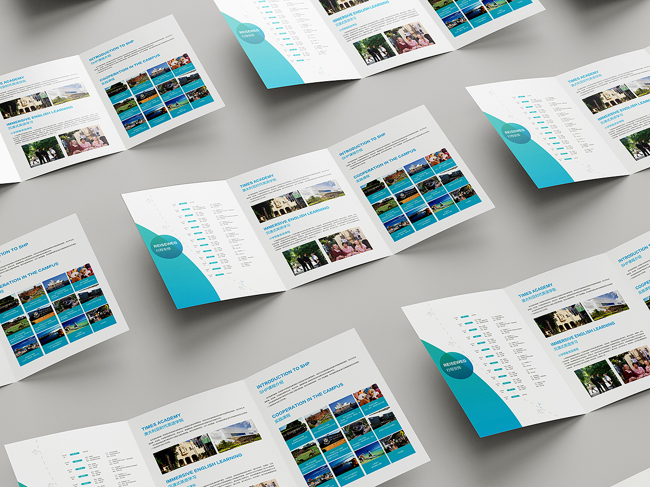 折页设计丨三折页 深大蔚来澳大利亚冬令营折页设计（图ZMzQ1ODYyNzAw） - 宣传物料 - 站酷设计师一只设计虫原创素材 - 站酷ZCOOL