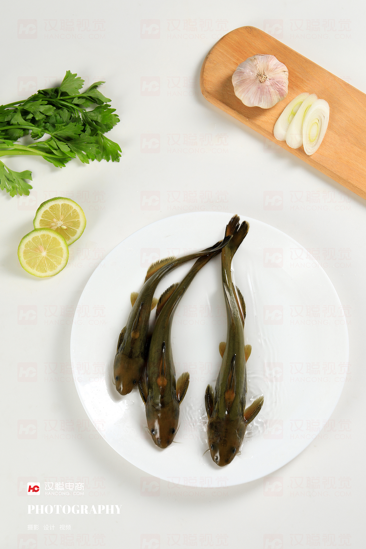 鱼丨黄辣丁丨汉聪摄影