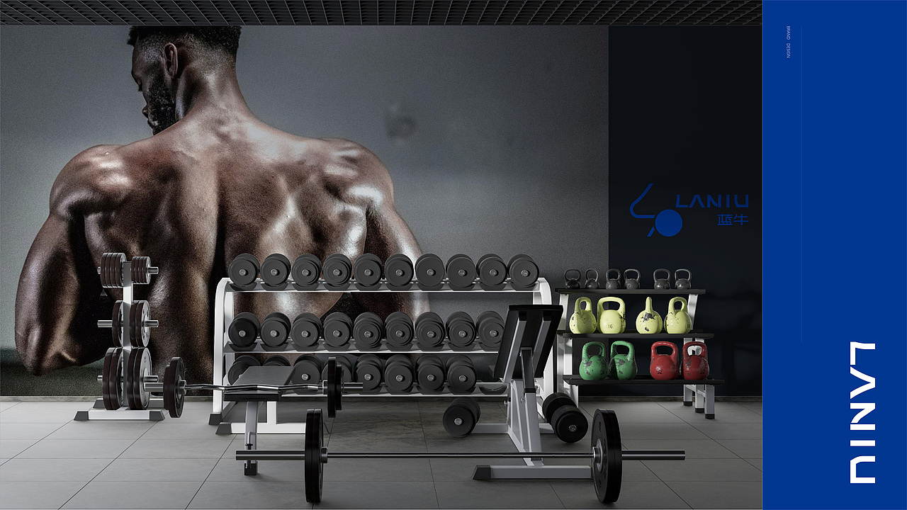 LANNIU | 来蓝牛，变更牛（图ZMzYzODg4NTc2） - 品牌 - 站酷设计师酸奶杀手原创素材 - 站酷ZCOOL