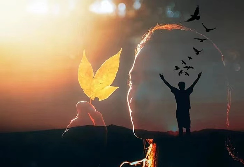 nbawxs2022年度作品总结选集