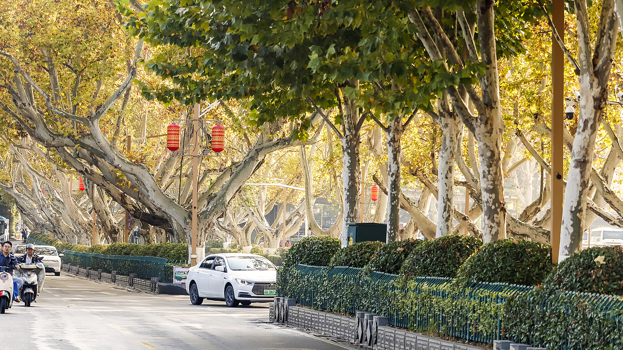 2023秋·周末南京城