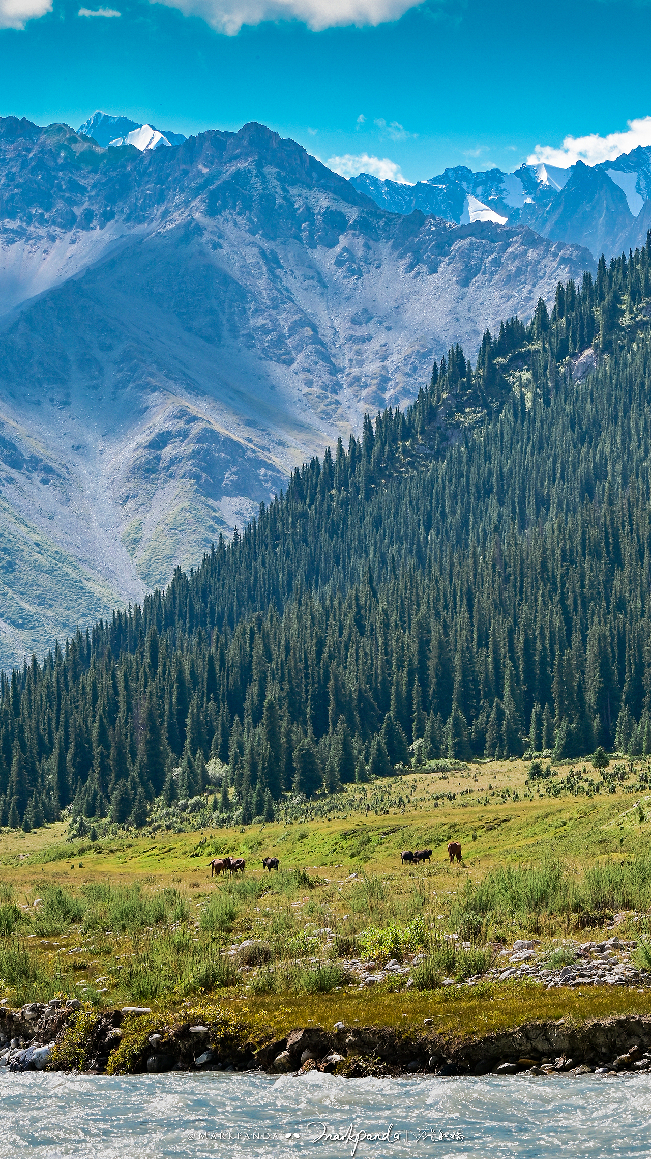 大地色盘-我眼中的新疆
