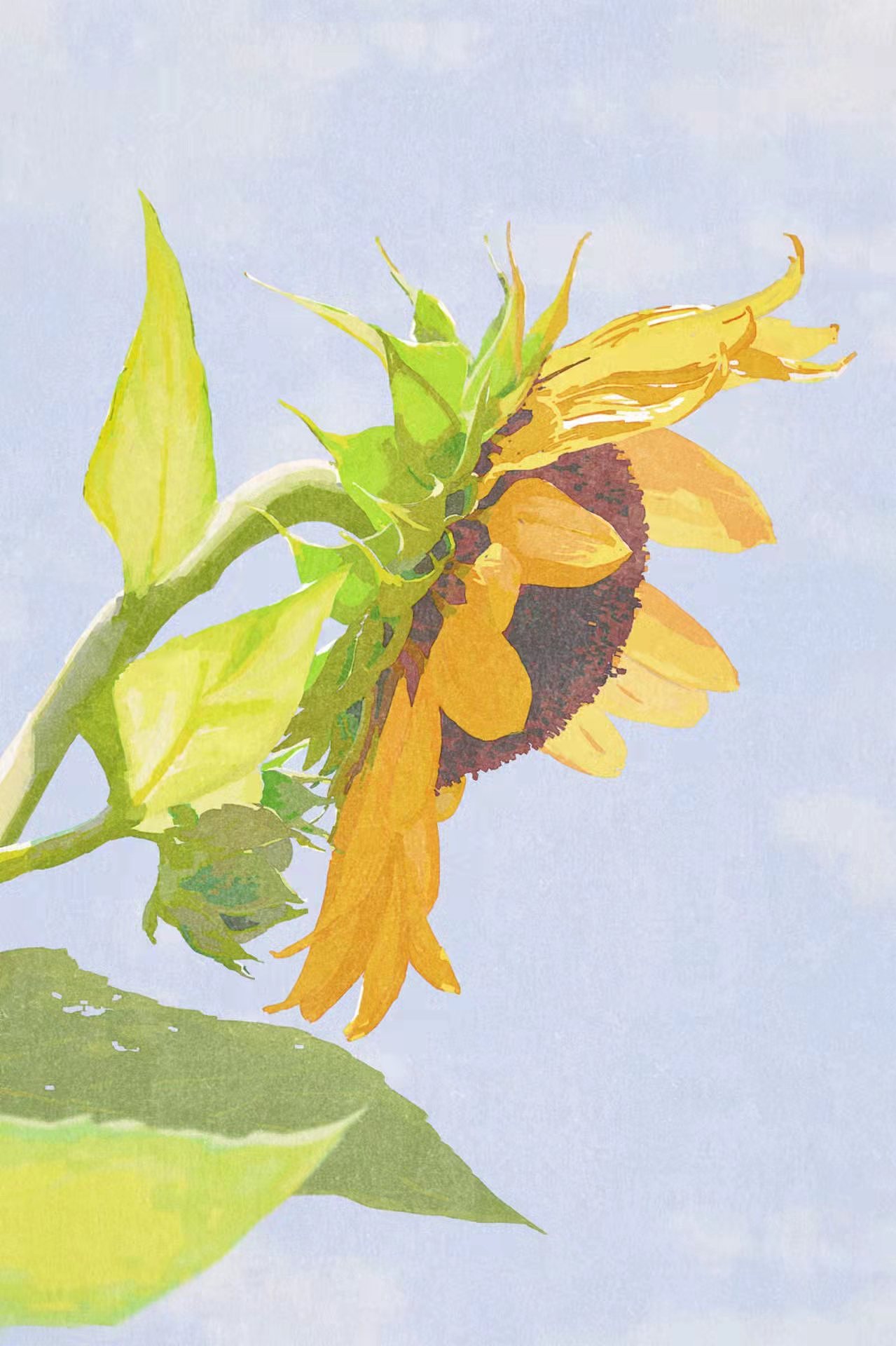 色彩日涂60天（图ZMzE4MDk1NzA0） - 创作习作 - 站酷设计师星不空原创素材 - 站酷ZCOOL