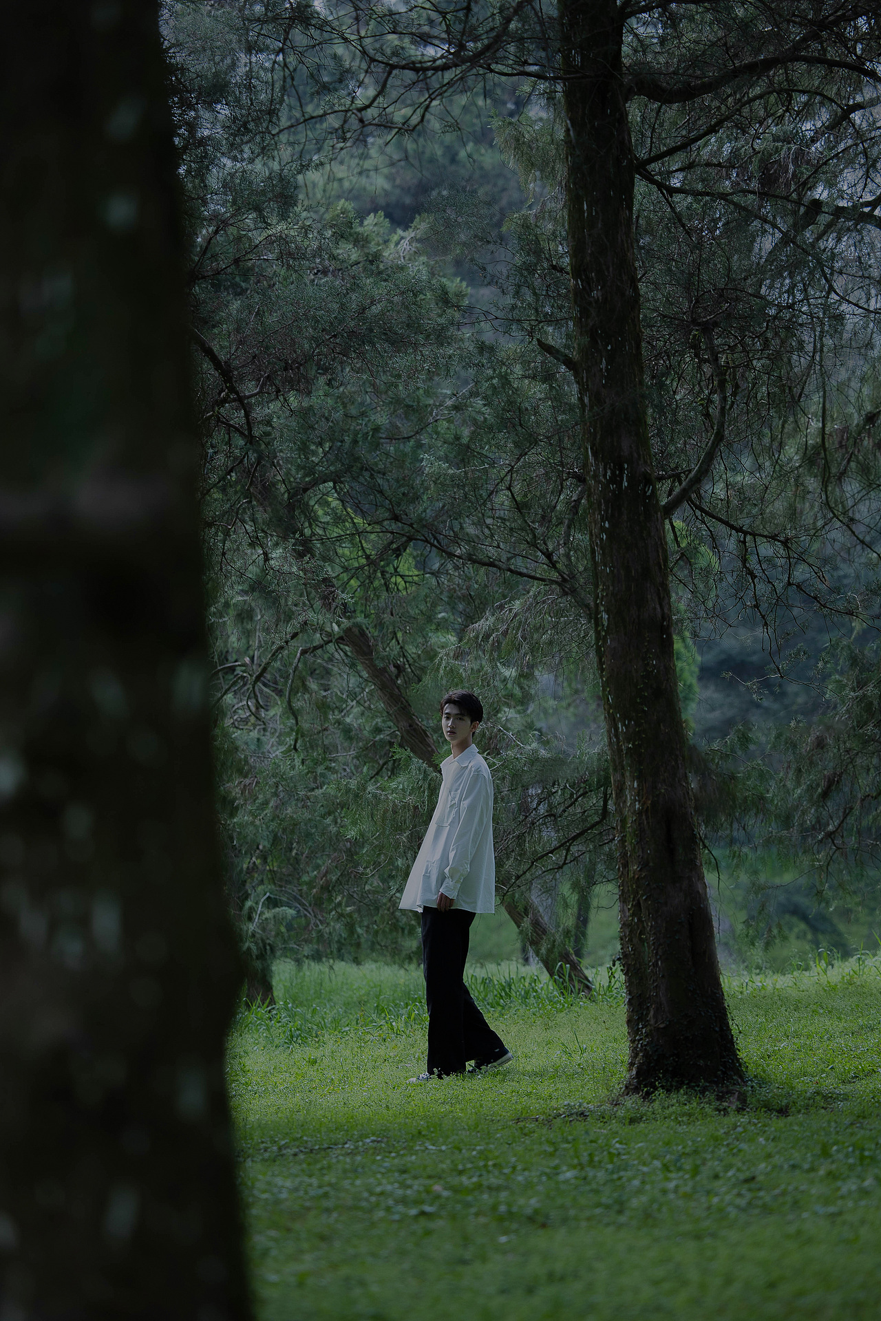 林中少年#创作加油站#（图ZMzE0NjYwMzY0） - 人像摄影 - 站酷设计师今寻本寻Kairos原创素材 - 站酷ZCOOL