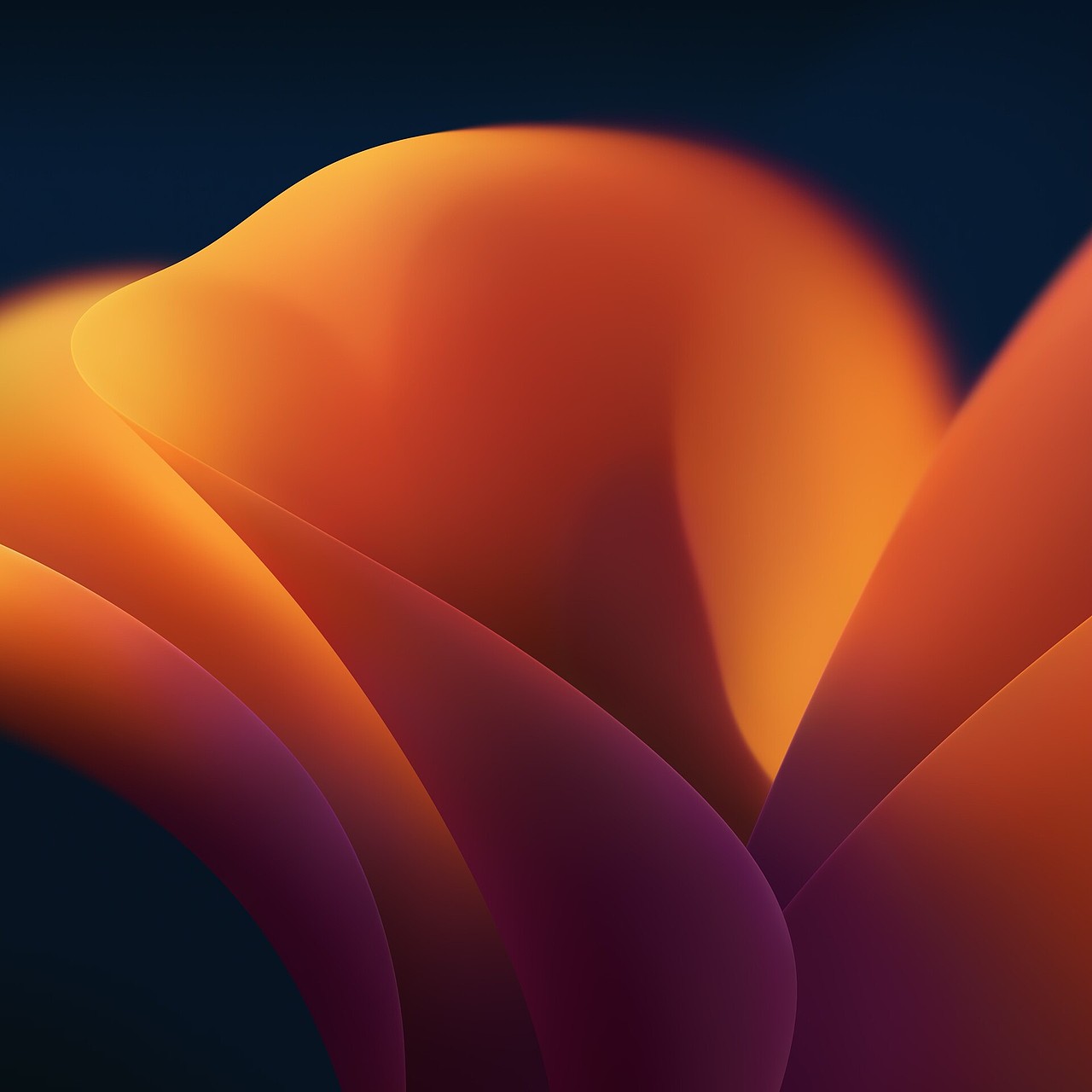 苹果macOS 13 Ventura 5K原生动态壁纸（图ZMzE2MjIxNDQ0） - 闪屏/壁纸 - 站酷设计师咖啡和奶糖原创素材 - 站酷ZCOOL
