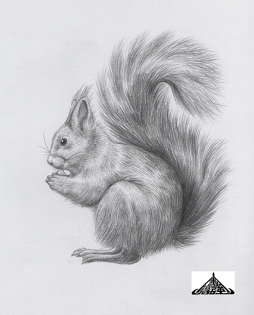 为“宫廷文化”绘制的素描过程