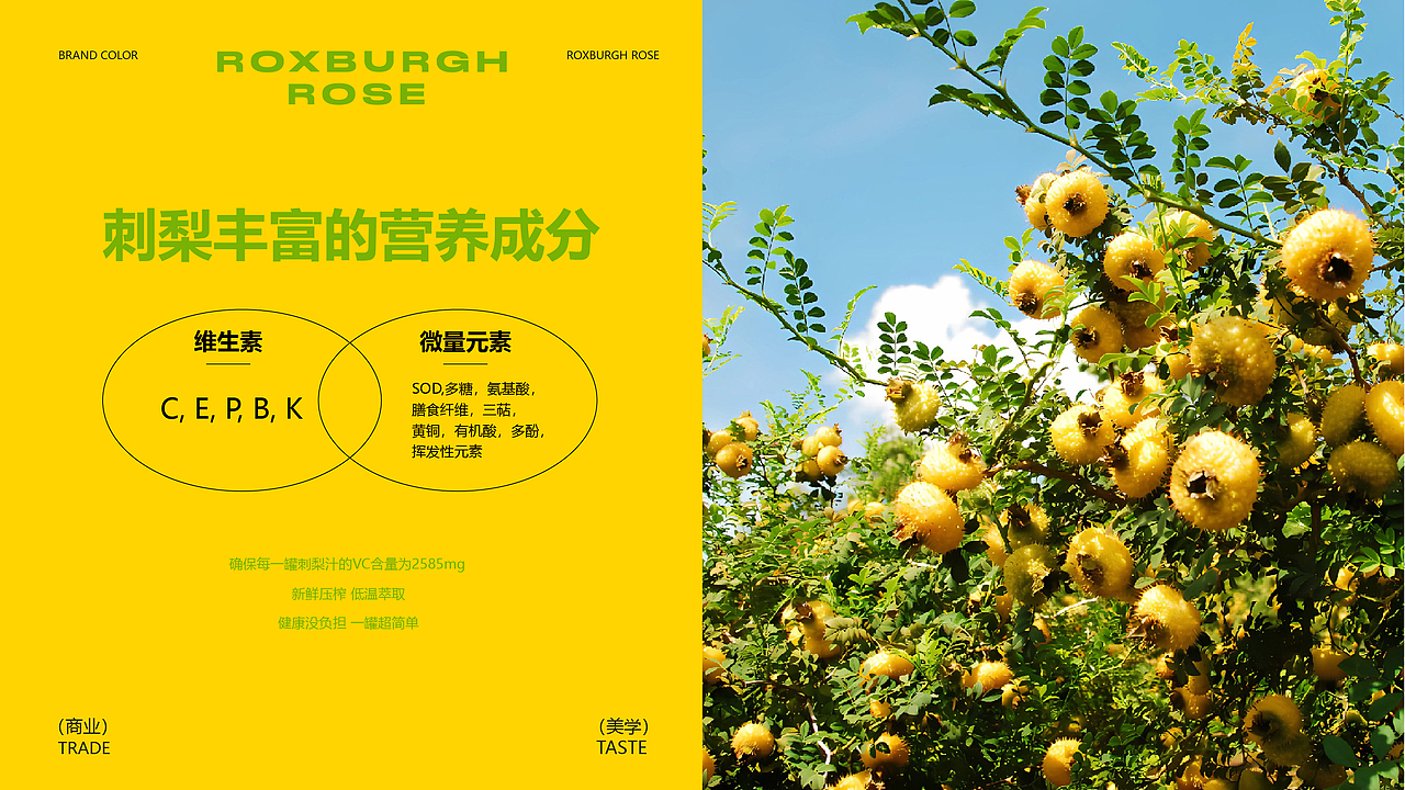 金刺梨饮品丨水果中的维C之王（图ZMzU4NzEwMTc2） - 包装 - 站酷设计师萬幸萬幸原创素材 - 站酷ZCOOL