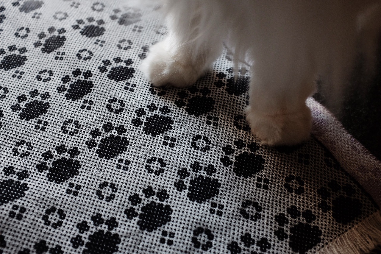 weaving | 用织布机织猫爪（图ZMzYwNDc3MDI4） - 其他手工艺 - 站酷设计师卑鄙的噗噗原创素材 - 站酷ZCOOL