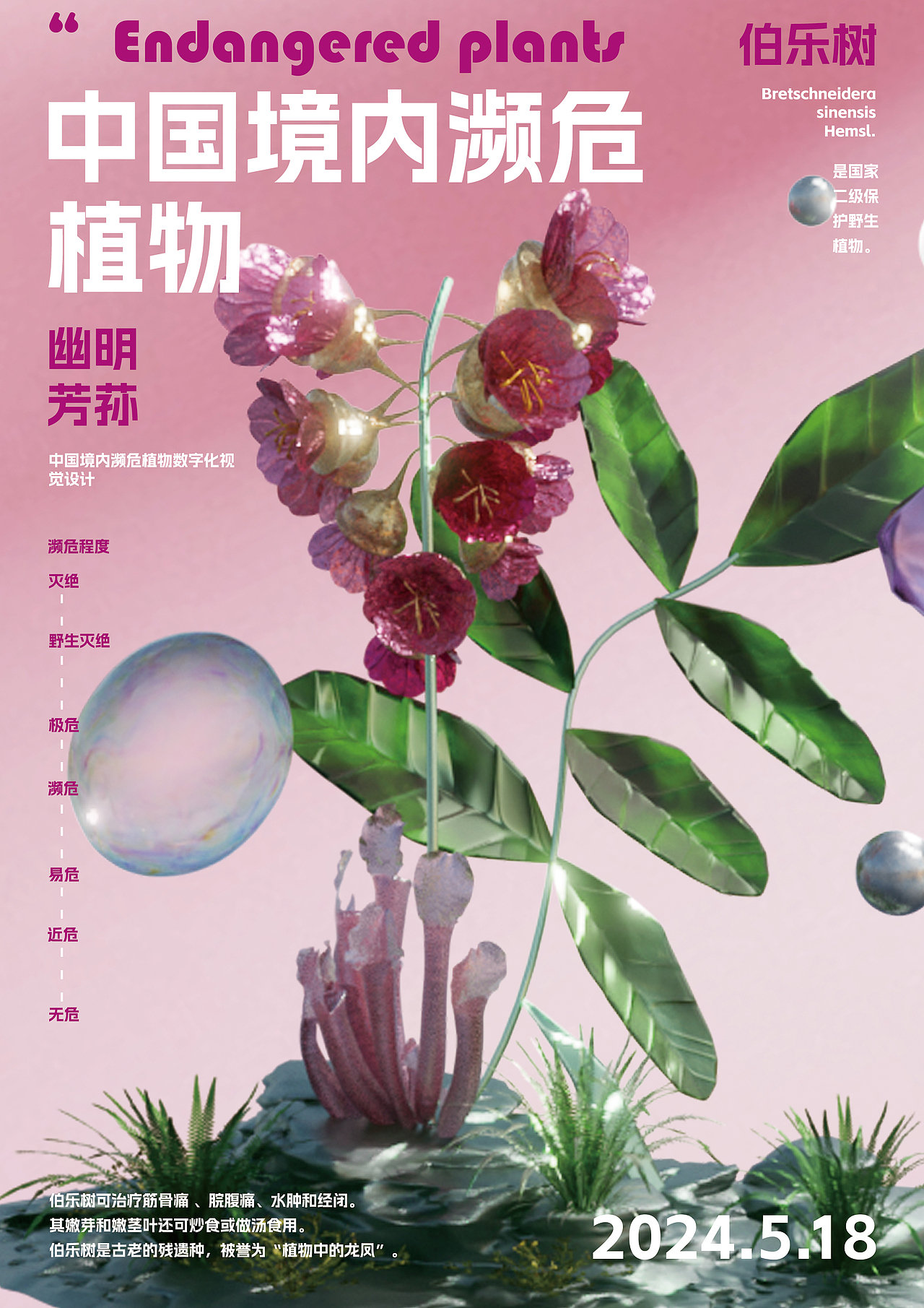 幽明芳荪——中国境内濒危植物数字化视觉形象设计