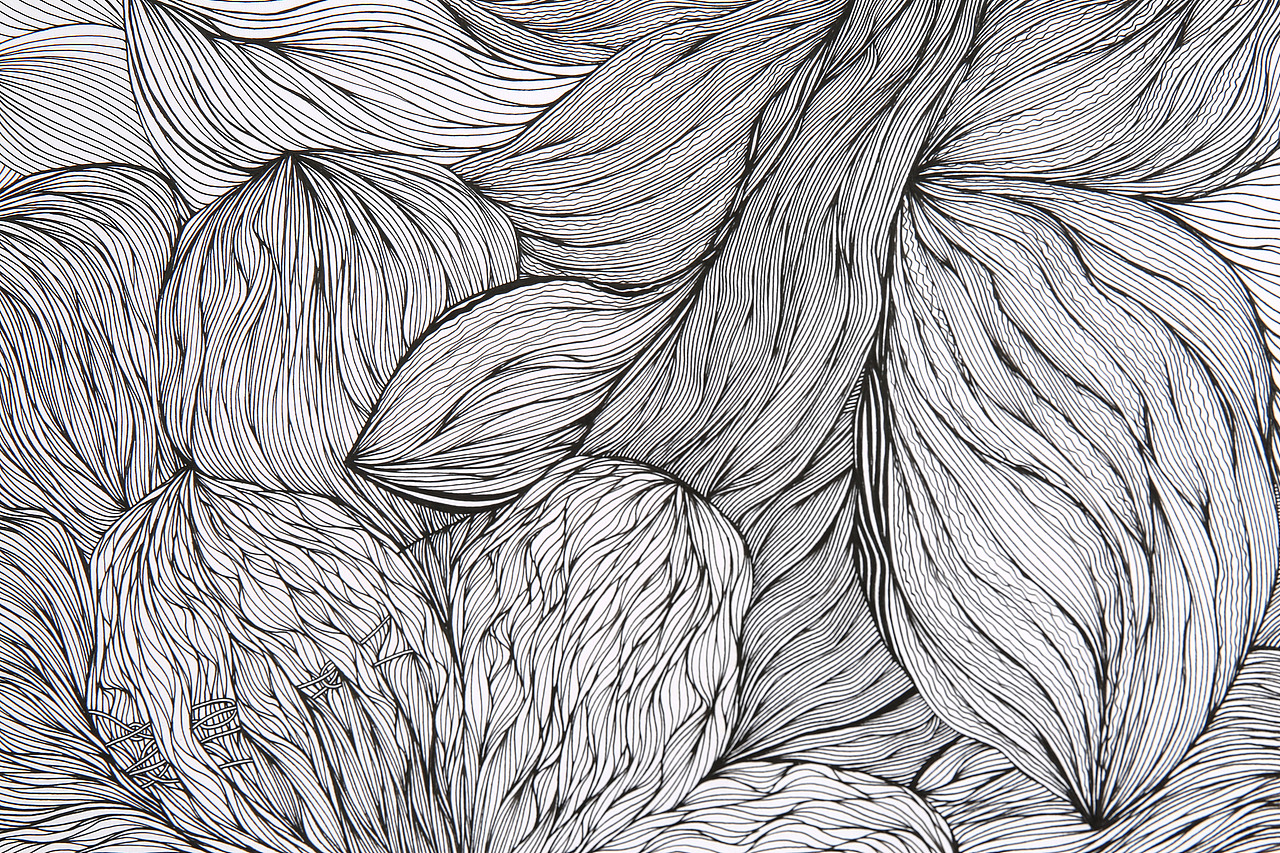 日常绘画/木花（图ZMzE1NTc1ODEy） - 艺术插画 - 站酷设计师城冻原创素材 - 站酷ZCOOL