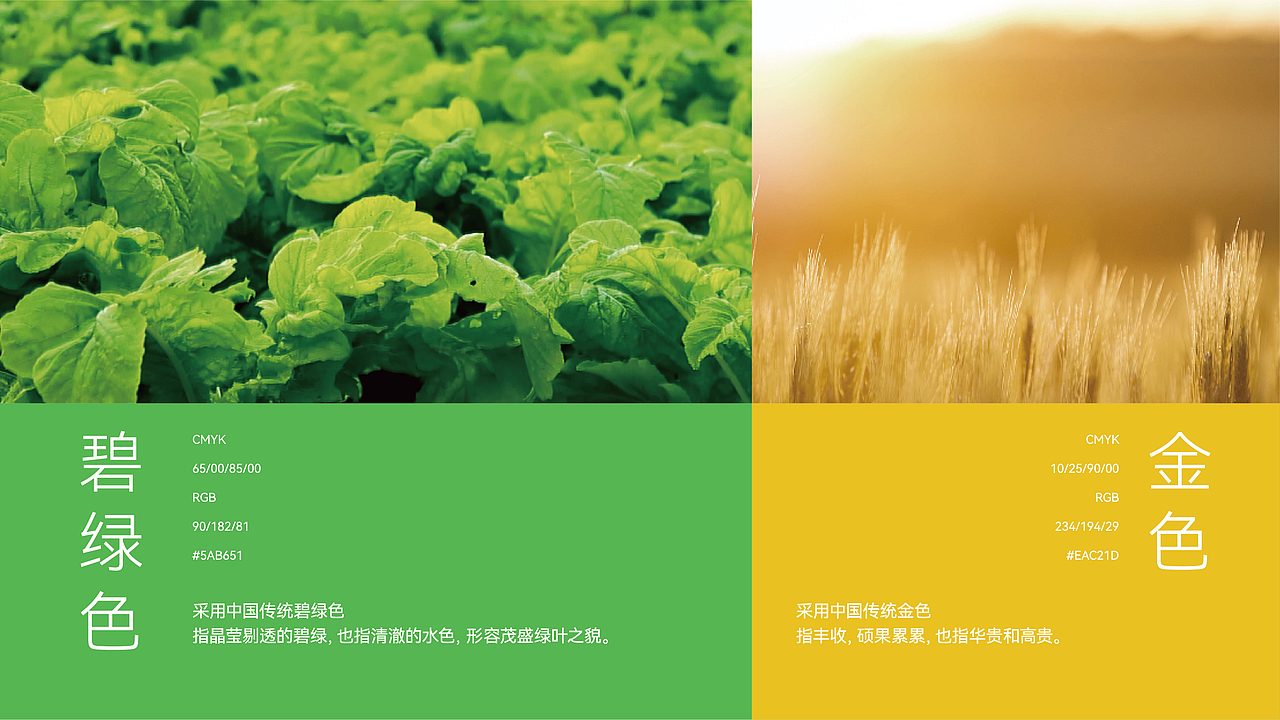 綦江赶水萝卜品牌全案策划