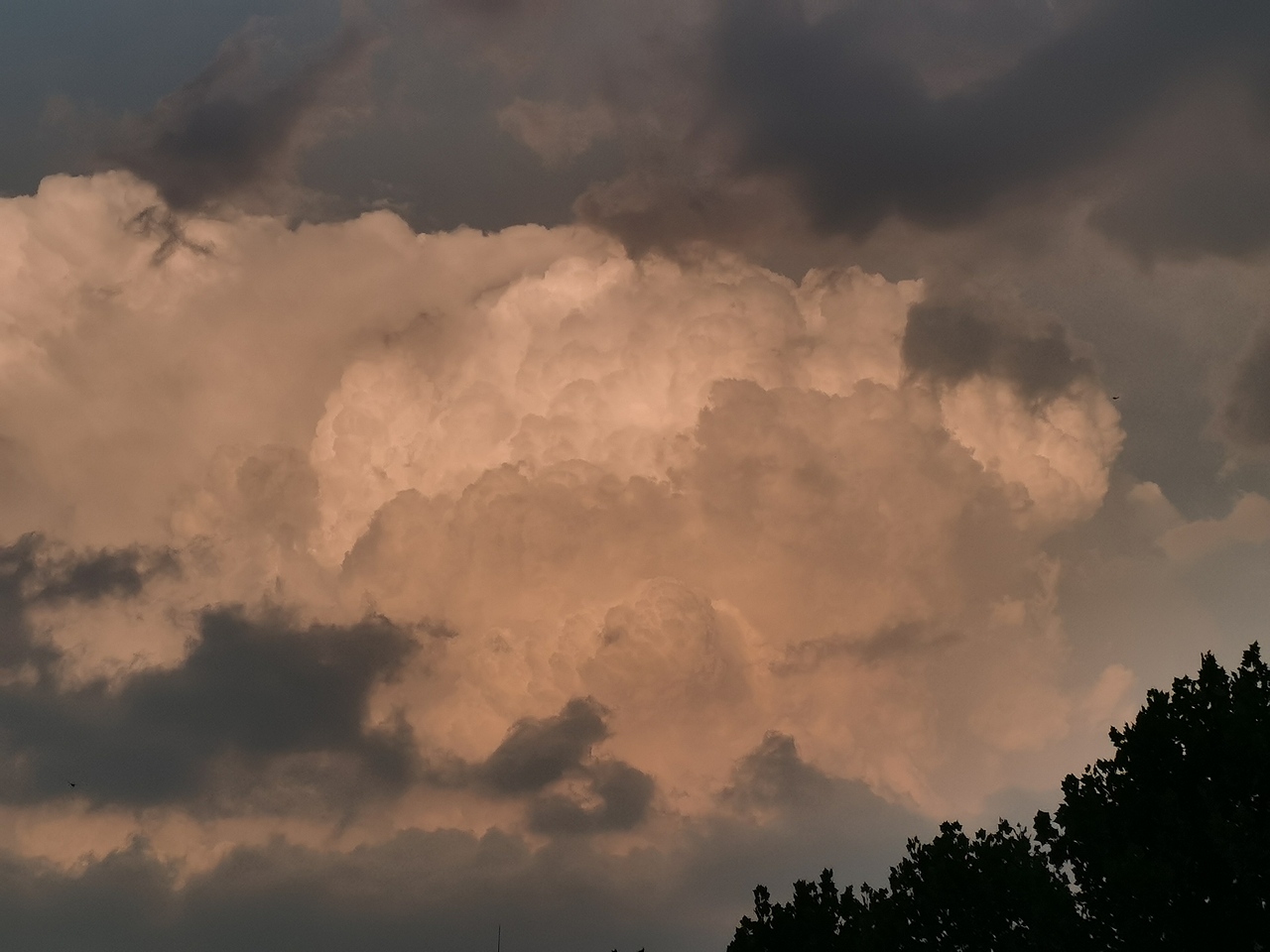 日 与月 与云 与草 与林 与山海 还有花