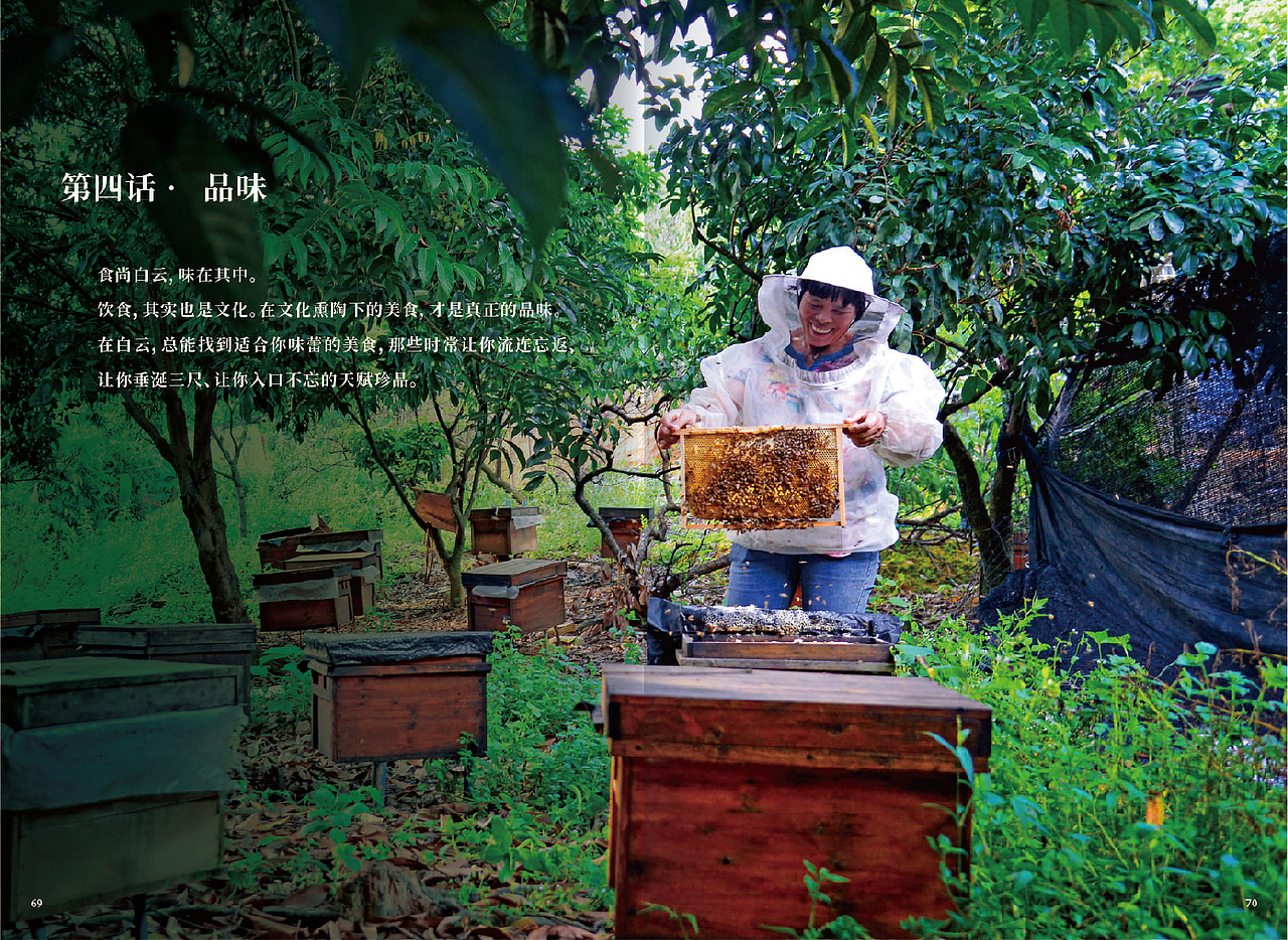 广州白云区局2023年景点宣传画册-已官宣（图ZMzY2NDU1MjY4） - 书籍/画册 - 站酷设计师展潼云享吧原创素材 - 站酷ZCOOL