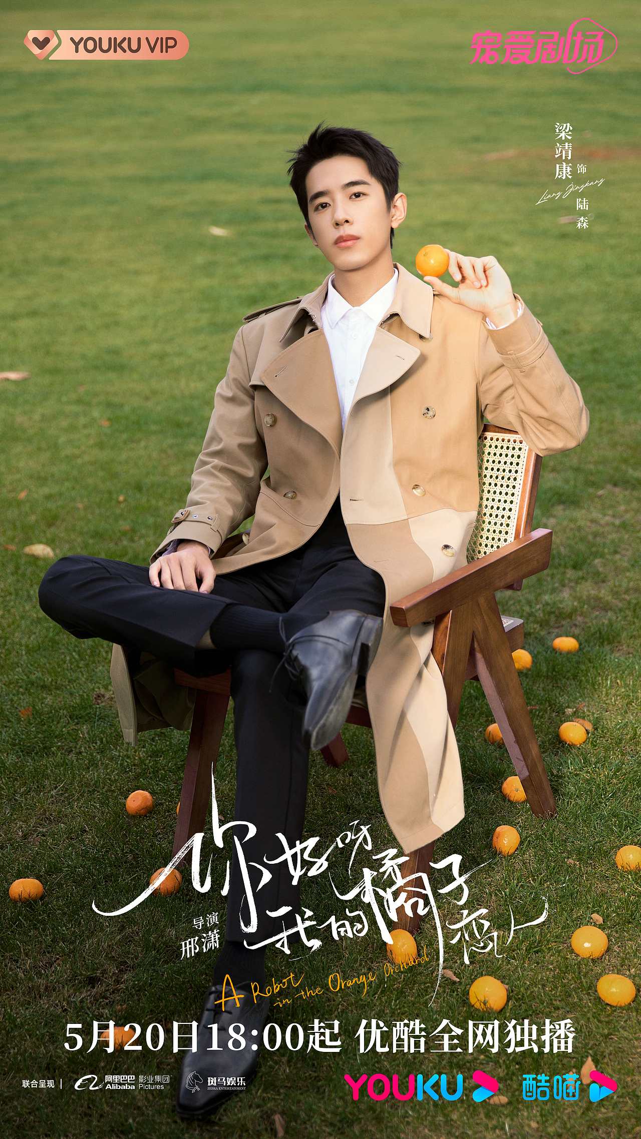 影视海报《你好呀!我的橘子恋人》精修