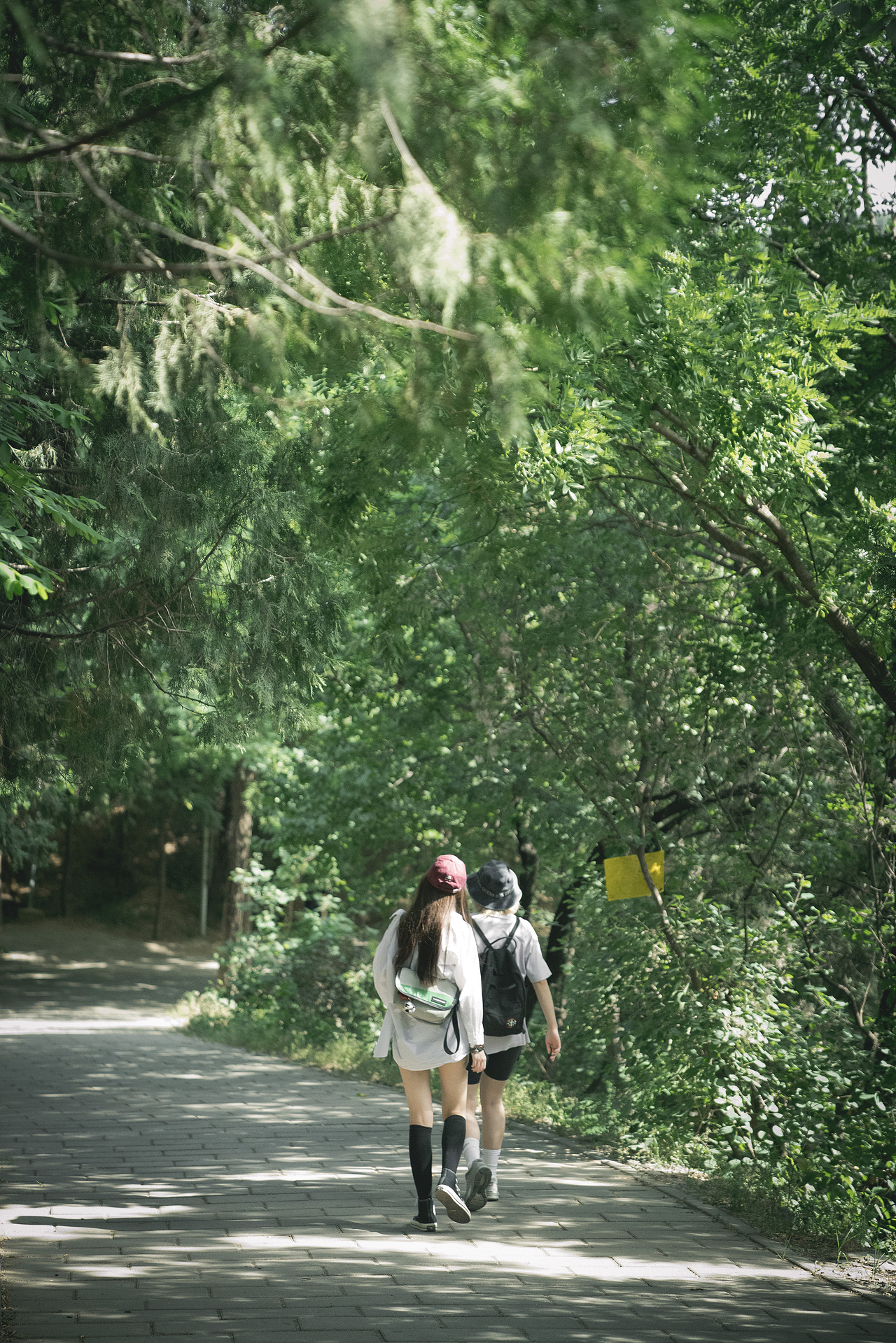 小天才的夏天（图ZMzA1MjQxOTEy） - 人像摄影 - 站酷设计师BKON摄影原创素材 - 站酷ZCOOL