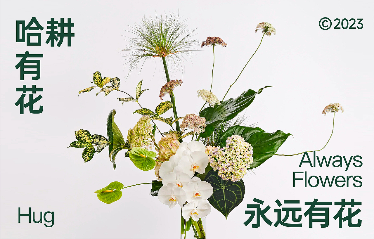 哈耕植物-品牌全案设计