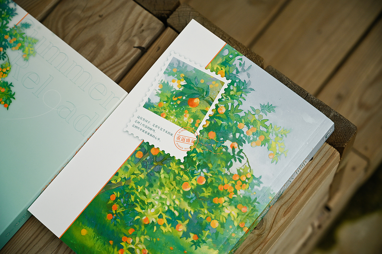 《重返盛夏》小说设计