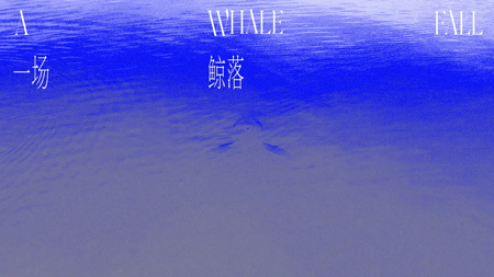 #2022青春答卷#平衡——器官捐赠公益主题影像设计（图ZMzA0MjE0MzA4） - 其他摄影 - 站酷设计师湖南师大美术学院原创素材 - 站酷ZCOOL