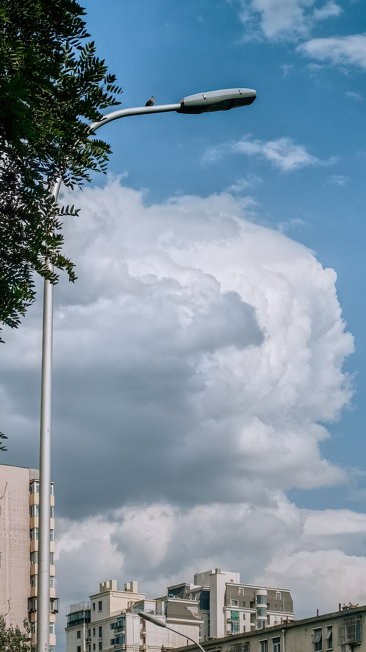 手机摄影－云是天边惆怅客